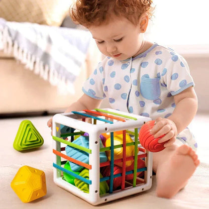 Shopecore Box - Educational Box