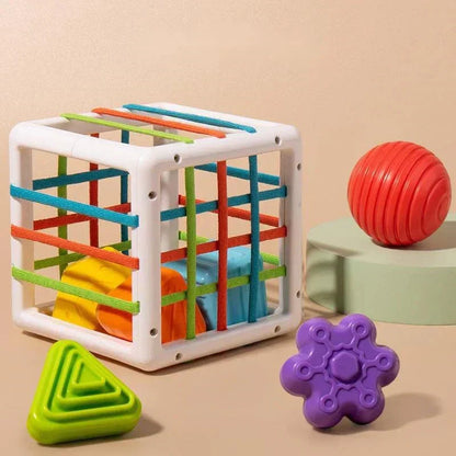 Shopecore Box - Educational Box