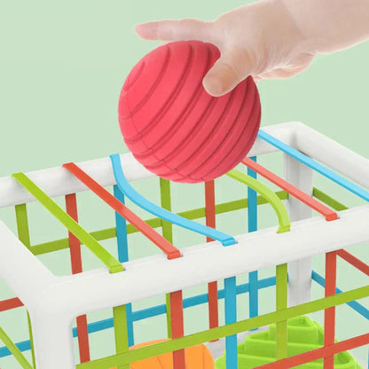 Shopecore Box - Educational Box