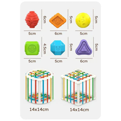 Shopecore Box - Educational Box