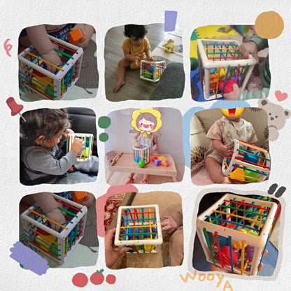 Shopecore Box - Educational Box